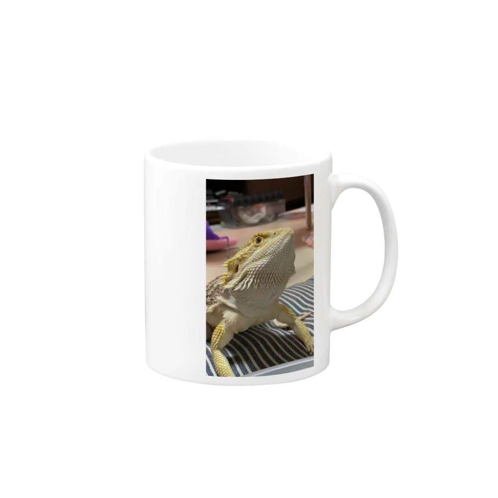 フトアゴが好きすぎてのフトアゴヒゲトカゲのパック Mug :right side of the handle