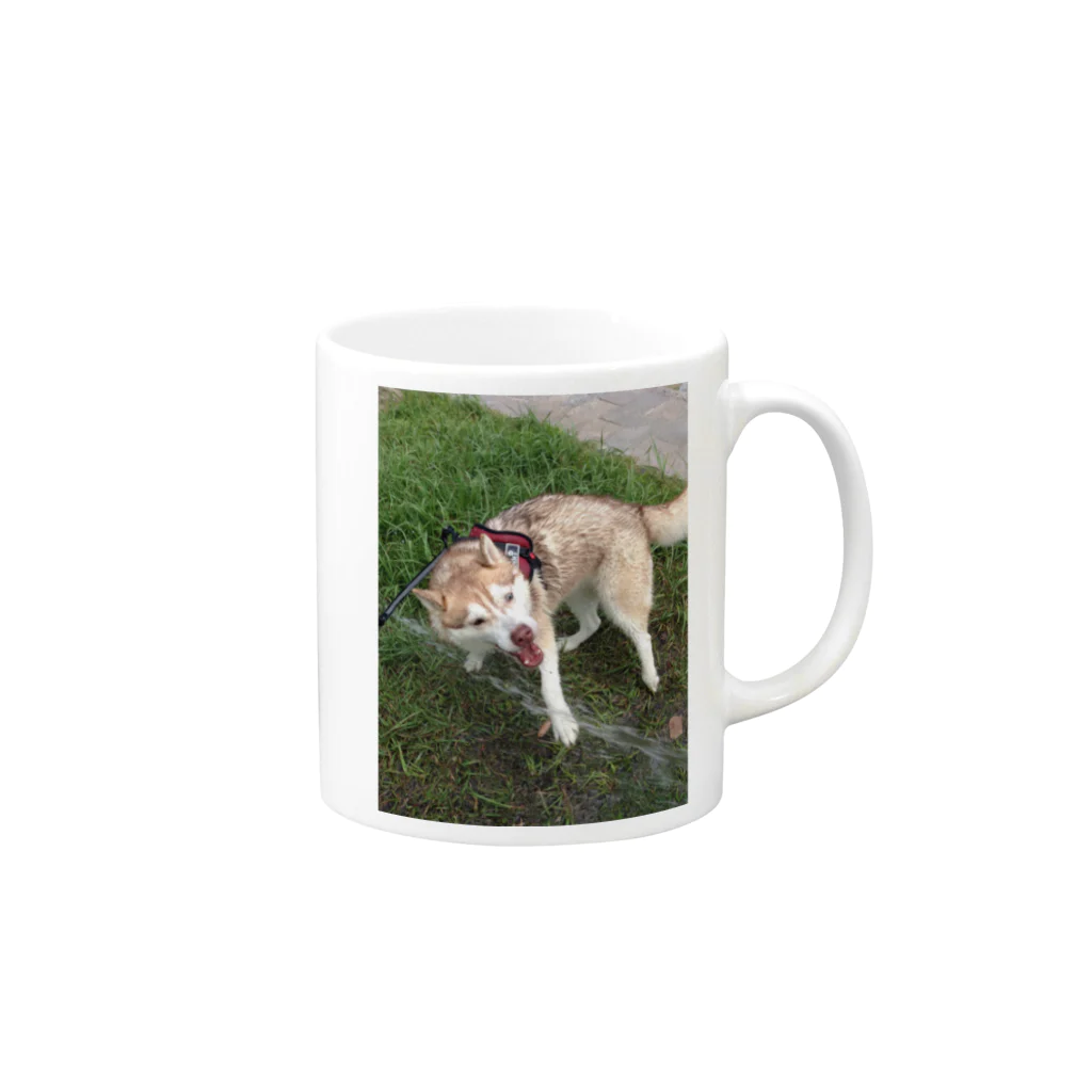 Husky'S Herb Gardenのがおーだぞ！ Mug :right side of the handle