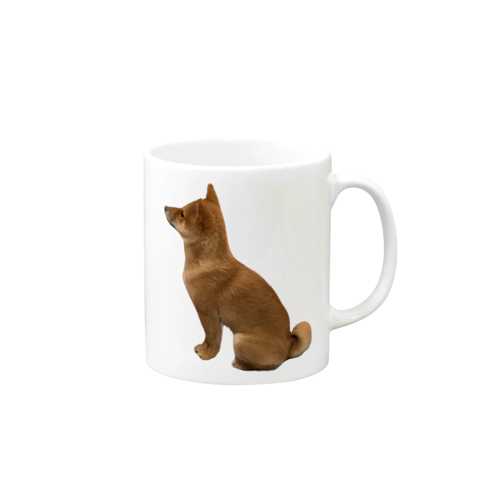 豆柴おあげの忠犬おあげなのよ Mug :right side of the handle