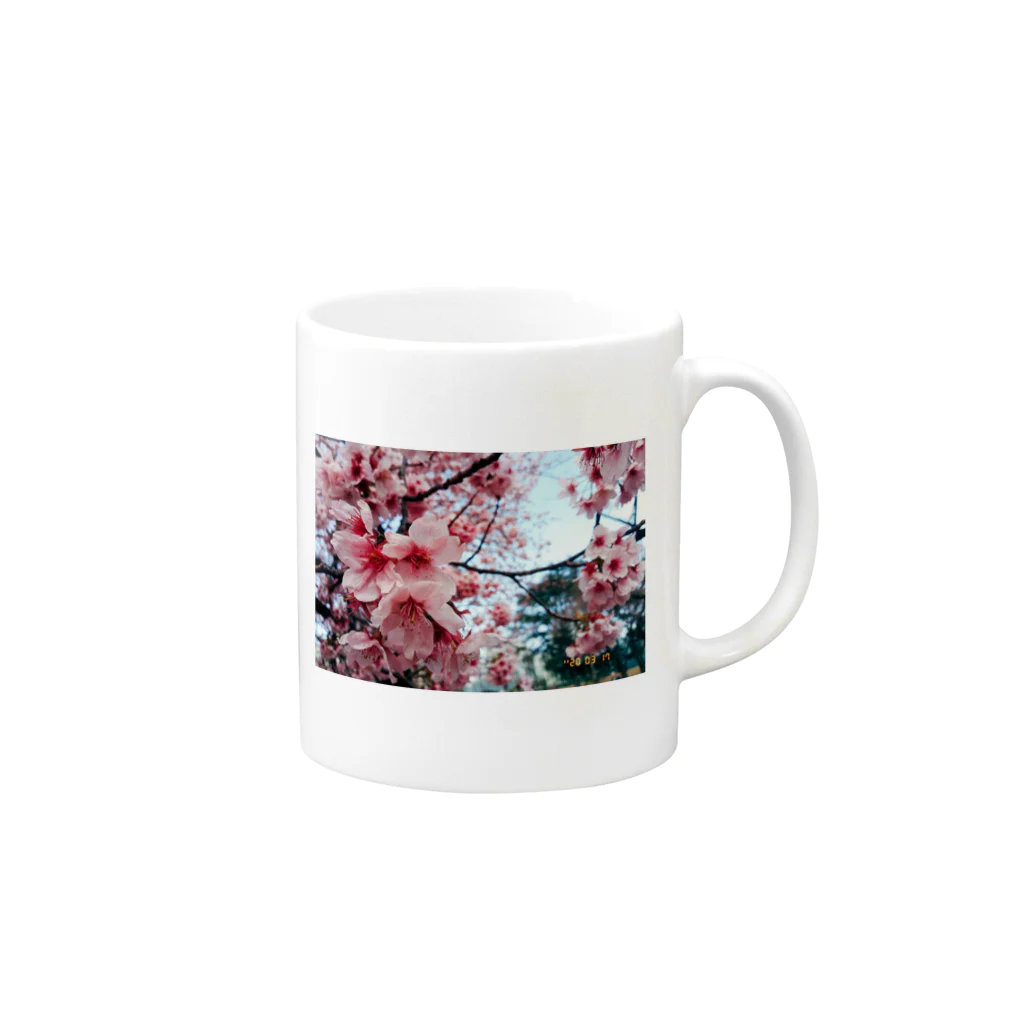 フィルムカメラと花の3月の桜 Mug :right side of the handle