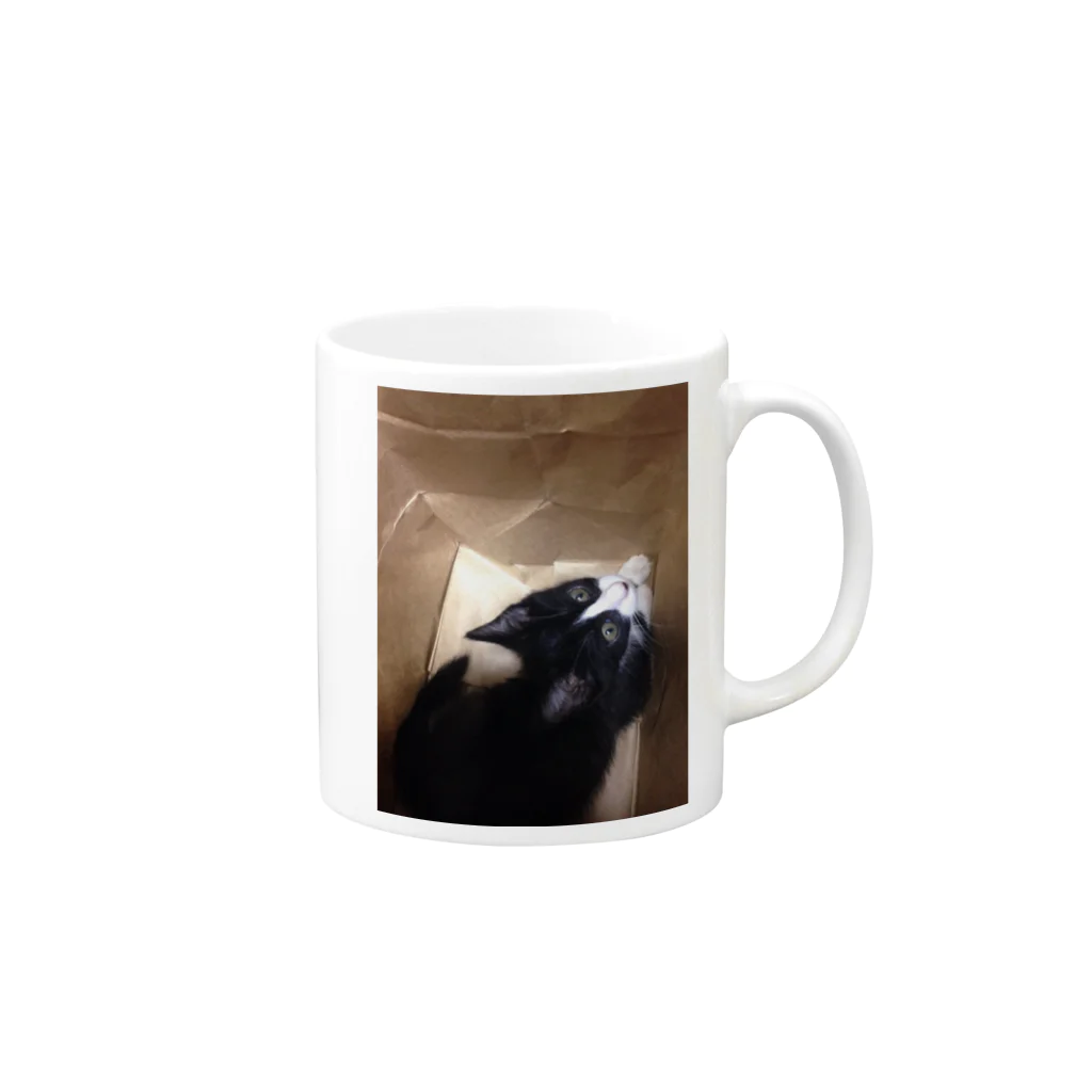 ねこといろいろのみあげる子猫 Mug :right side of the handle