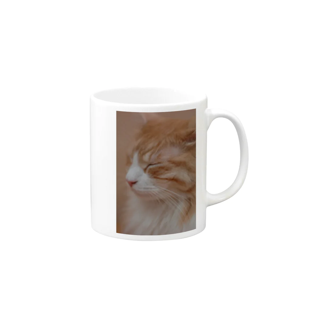 ｓａｋａｍｏ●┻┓vfk◆jfkの孤高の猫 Mug :right side of the handle