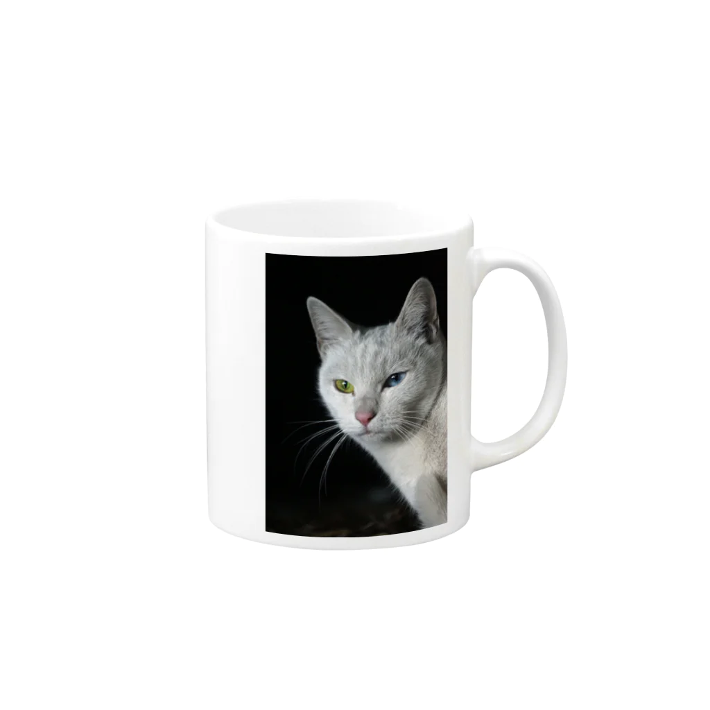 シッポ追いの猫写真店のオッドアイ Mug :right side of the handle