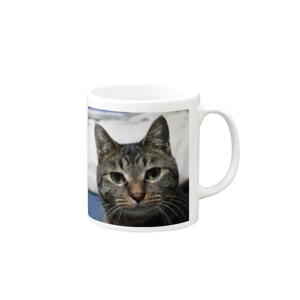 ねことらにゃんにゃん軍団のダブルたぬきち Mug :right side of the handle