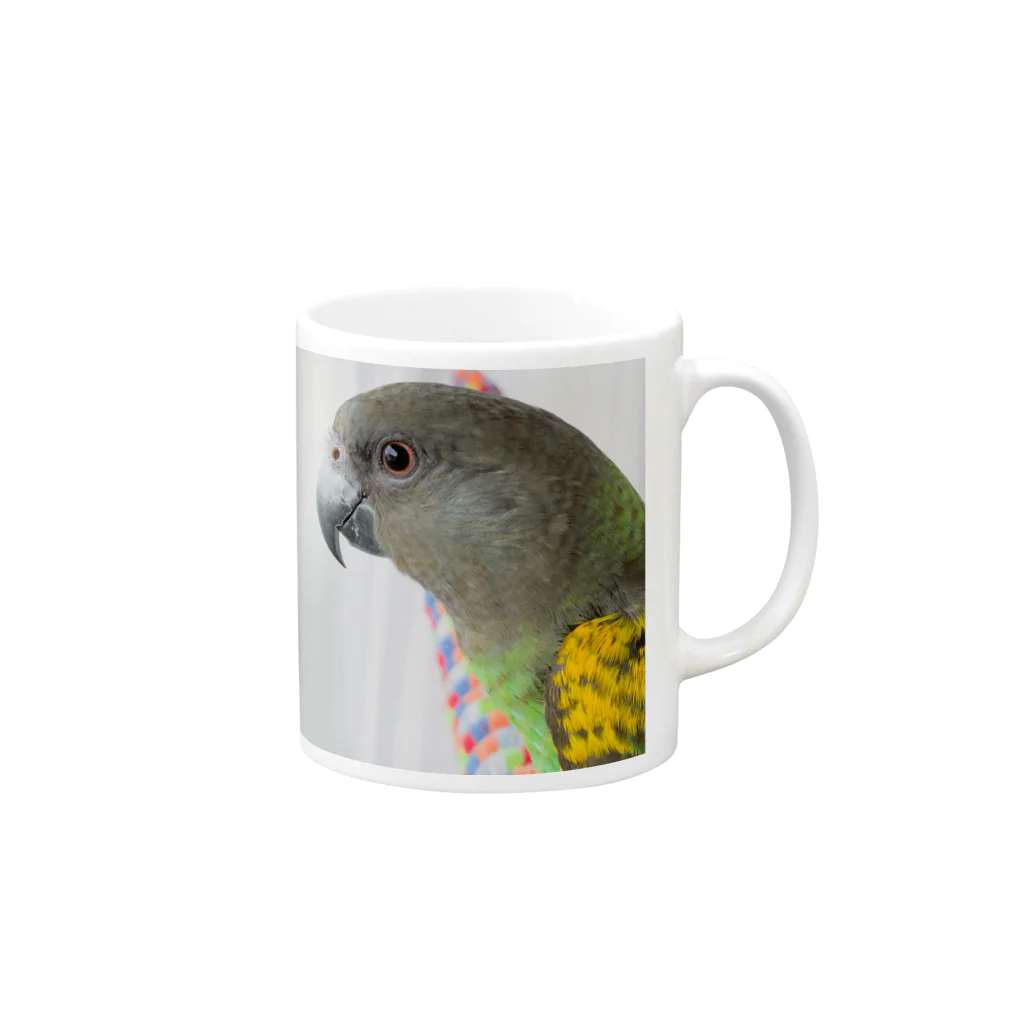 きいさんのムラクモインコYUKI〔KIITODAY〕 Mug :right side of the handle