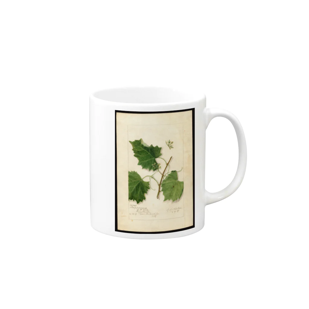 ArtShirtのScuppernong  Mug :right side of the handle