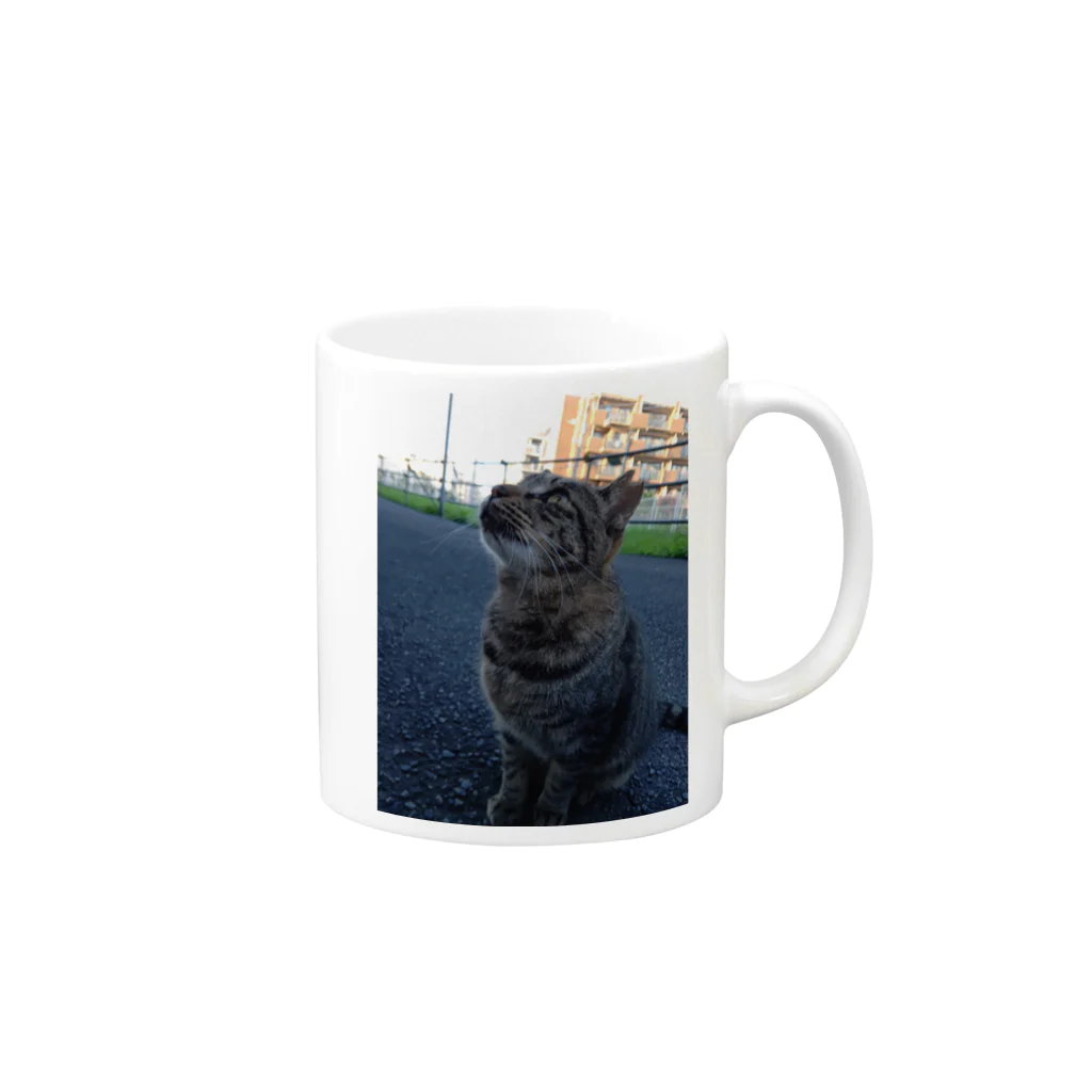 ながしっぽ from.さくらねこの家のとらちゃん　type.Ｂ Mug :right side of the handle