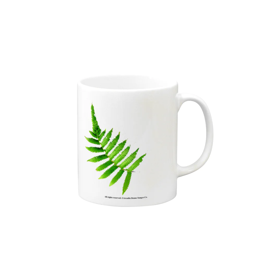 アルカディア地球本店のFern Mug :right side of the handle