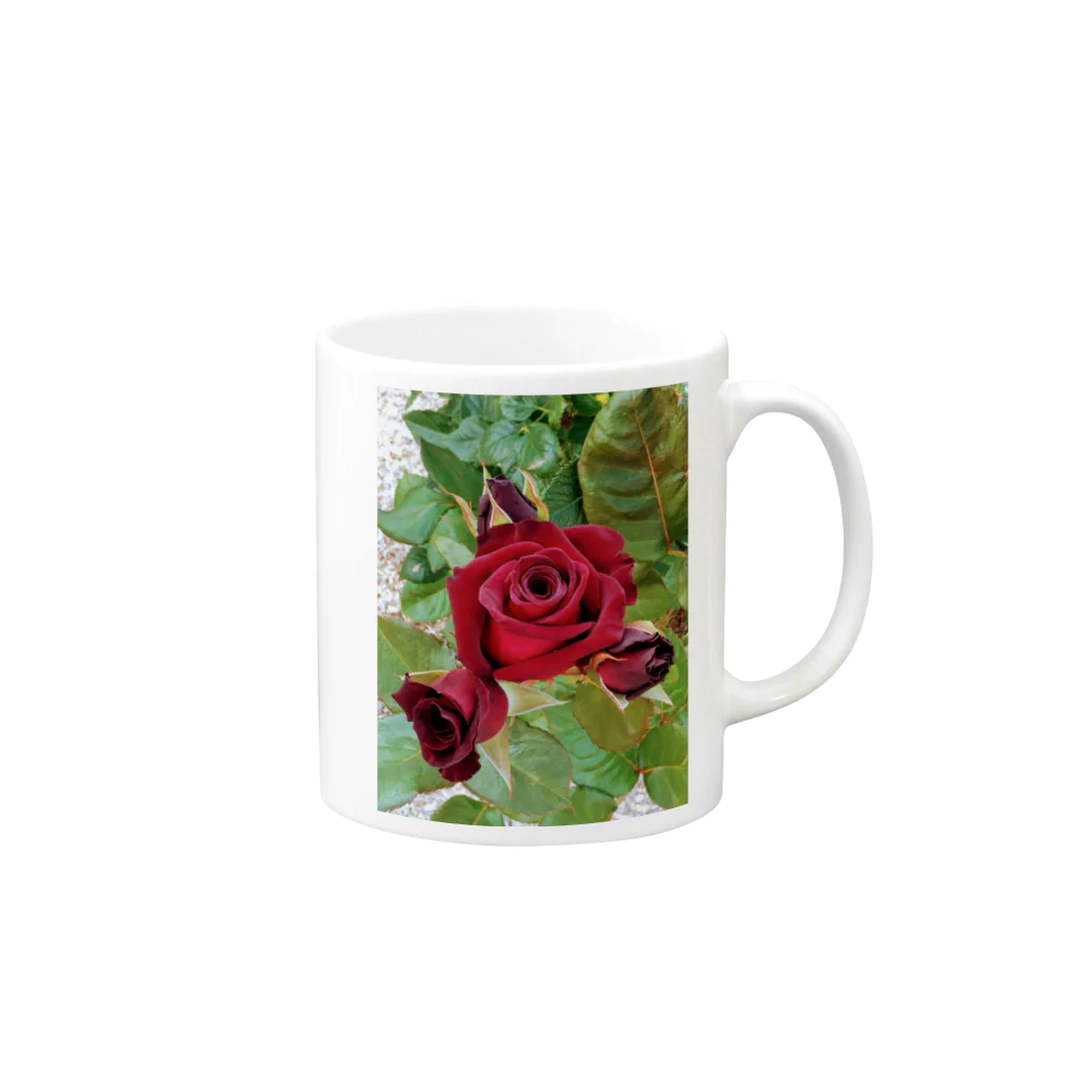 猫のhananyanの薔薇が咲いた～薔薇が咲いた～真っ赤な薔薇が～♩ Mug :right side of the handle