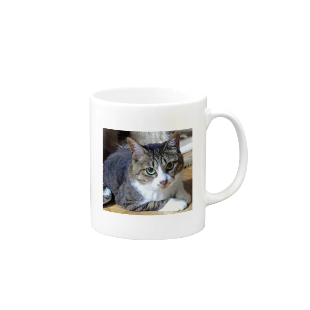 猫のhananyanのスフィンクスハナちゃん Mug :right side of the handle