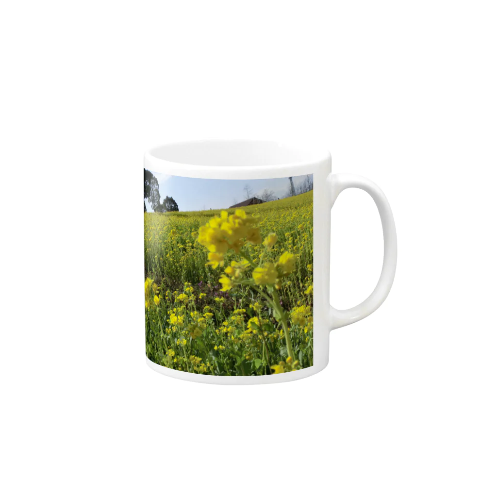 河内創一の菜の花 Mug :right side of the handle