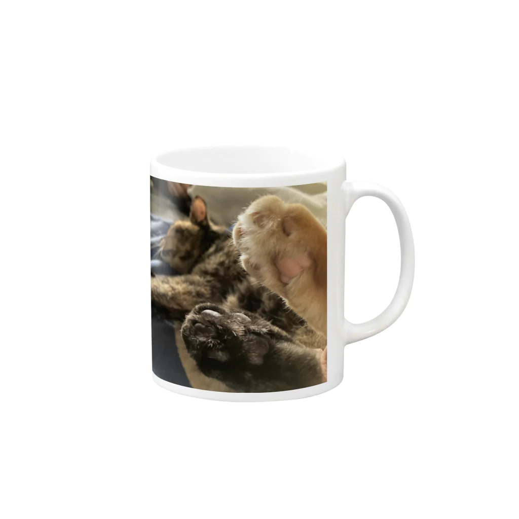 Rumiizzo の肉球　いろちがい Mug :right side of the handle