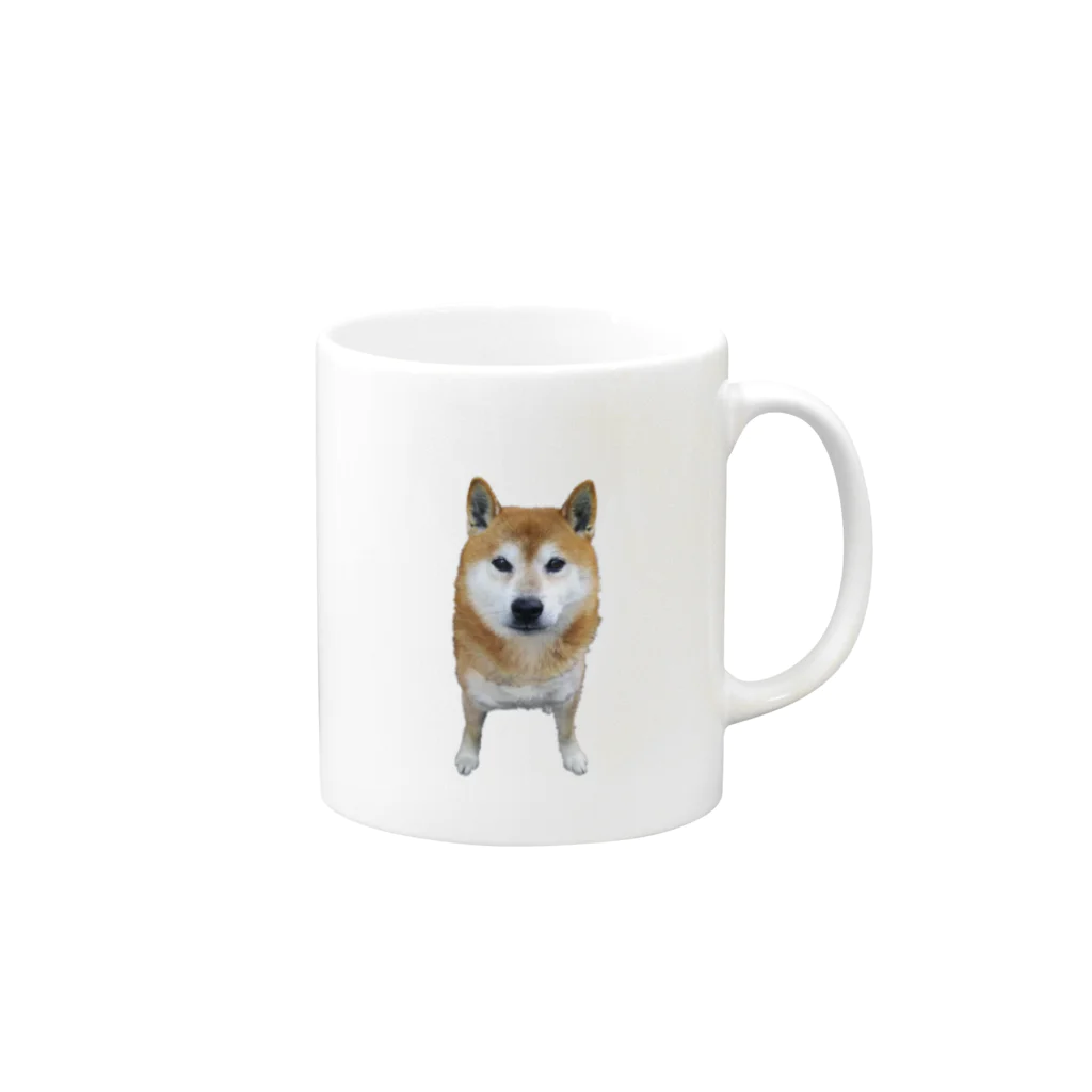 こそらショップの大きく育った豆柴くん Mug :right side of the handle