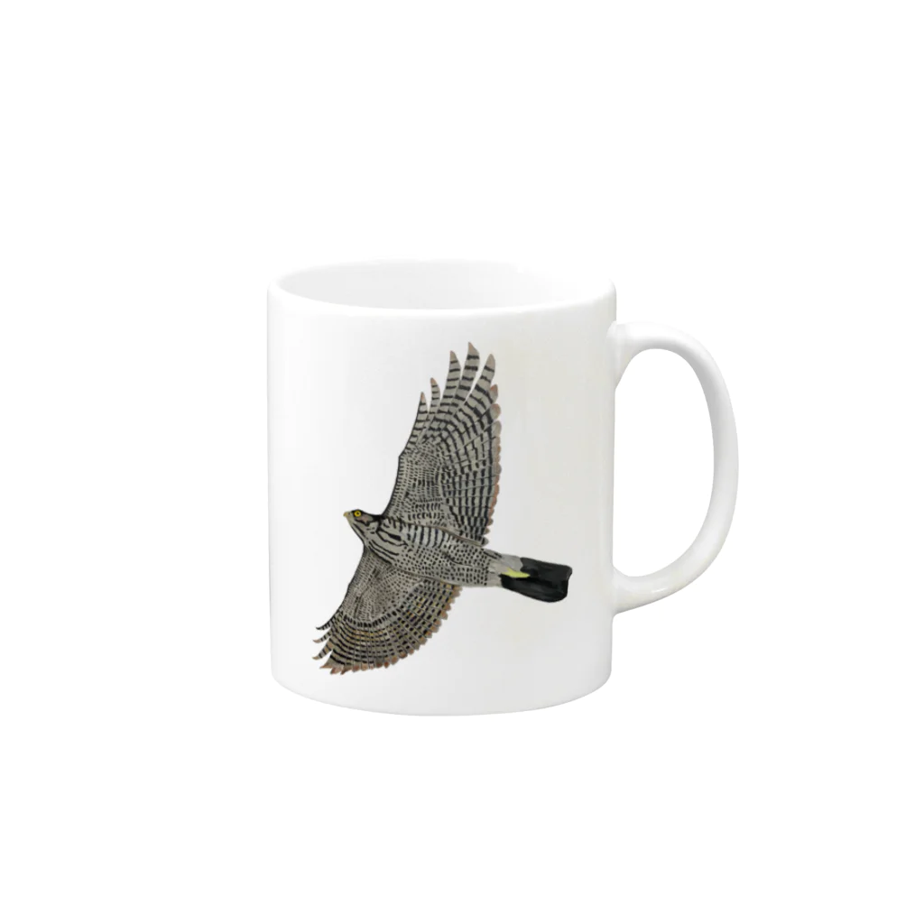 Coshi-Mild-Wildの🪶猛禽類　ツミ　🦅 だぞっ‼️ Mug :right side of the handle