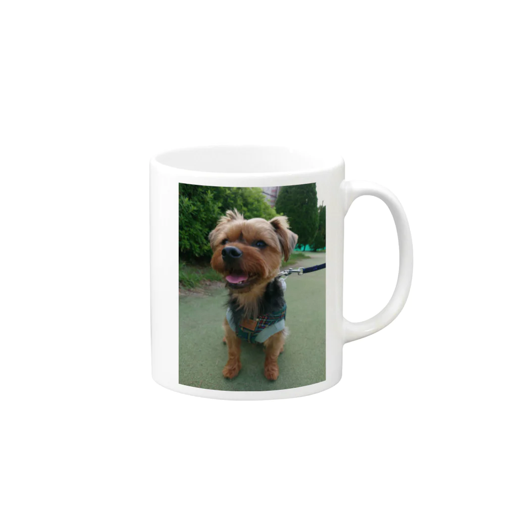 ミステリーキャラクターズのたれみみヨーキー犬 Mug :right side of the handle