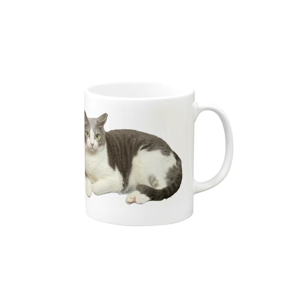 mellokkomaのペルシャ風メロ Mug :right side of the handle
