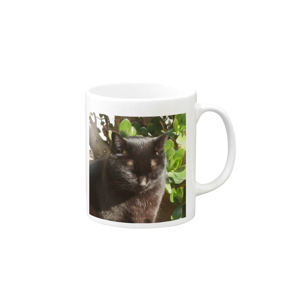 はなのうちのねこ　みぃ Mug :right side of the handle