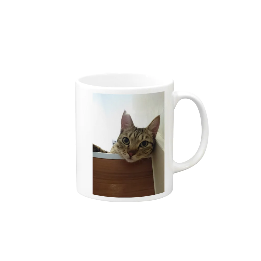 あかめ@猫カフェの猫縁～ねこえん～ことら君 Mug :right side of the handle