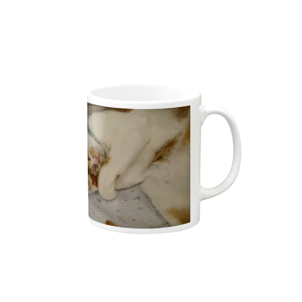 あかめ@猫カフェのねむり猫 Mug :right side of the handle