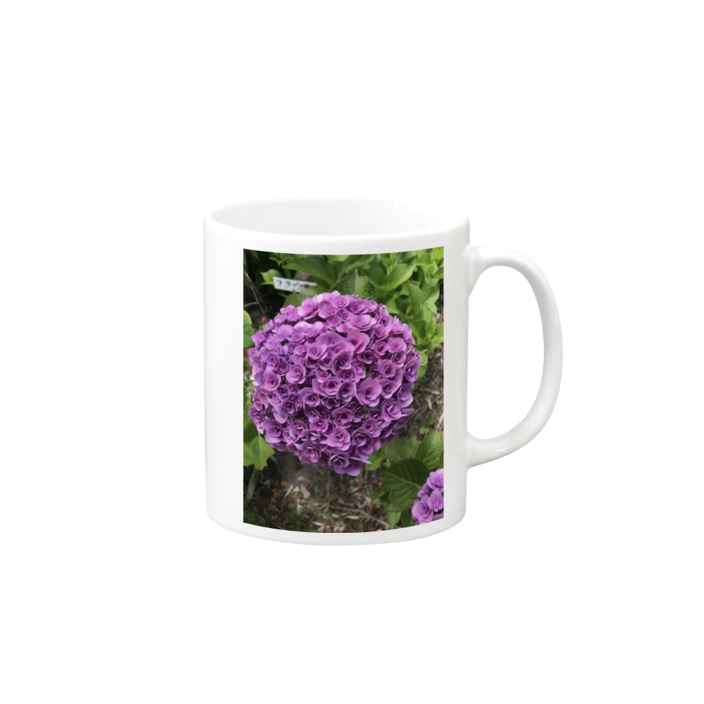 れとろとのパープル 紫陽花 Mug :right side of the handle