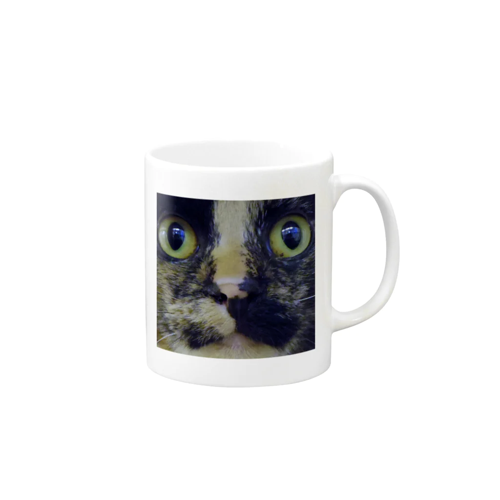 あかめ@猫カフェのサビ猫 マグカップの取っ手の右面