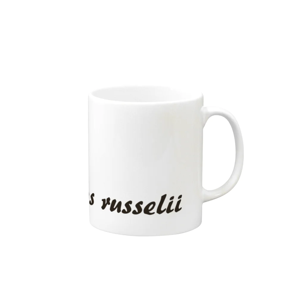 ぺんぎん丸のもっと！リュウグウノツカイ-Regalecus russelii- Mug :right side of the handle