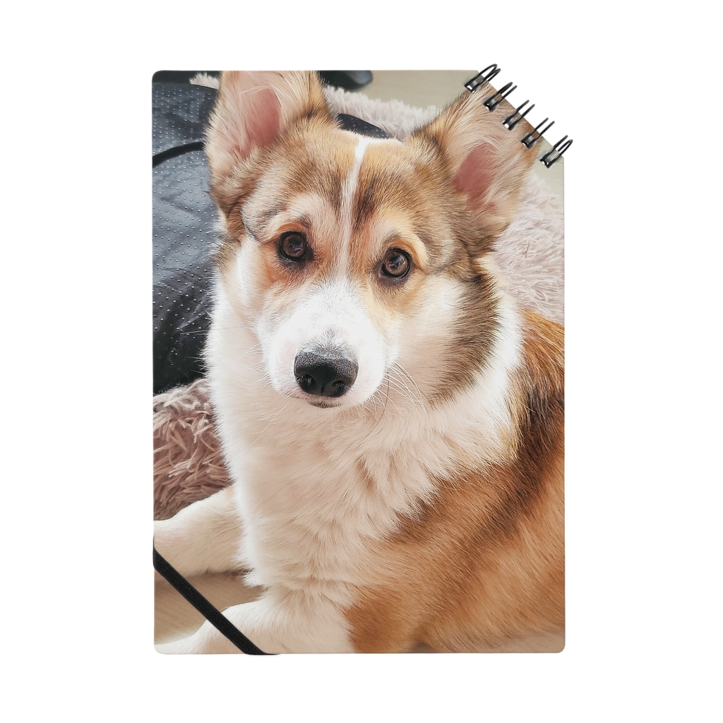 すましたコーギー犬ロック コーギーショップ Corgi Lock のノート通販 Suzuri スズリ