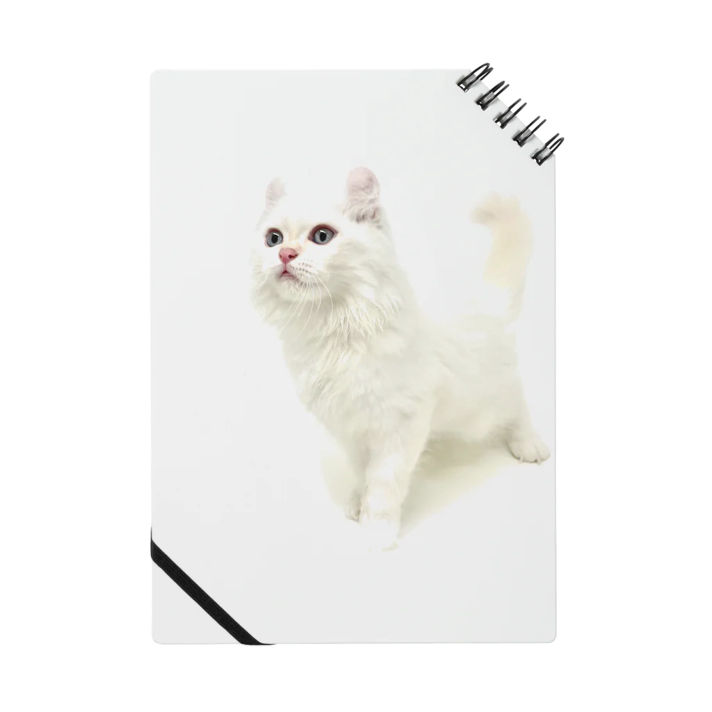 Milkoftheguineapigの白猫 Notebook