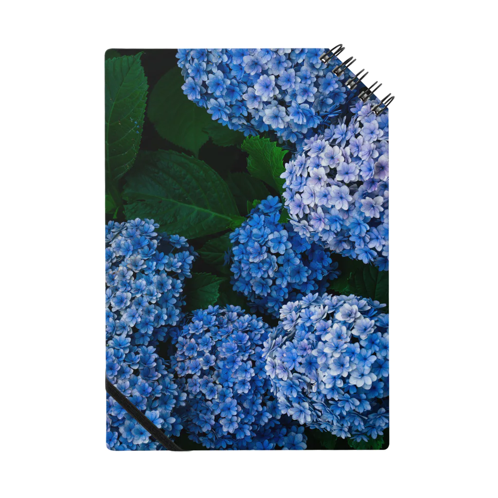 Kohei IwataのHydrangea Notebook