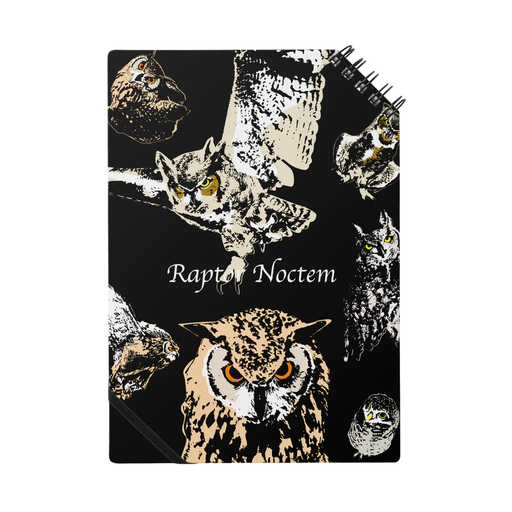 Raptor-Noctem の夜の猛禽 Notebook