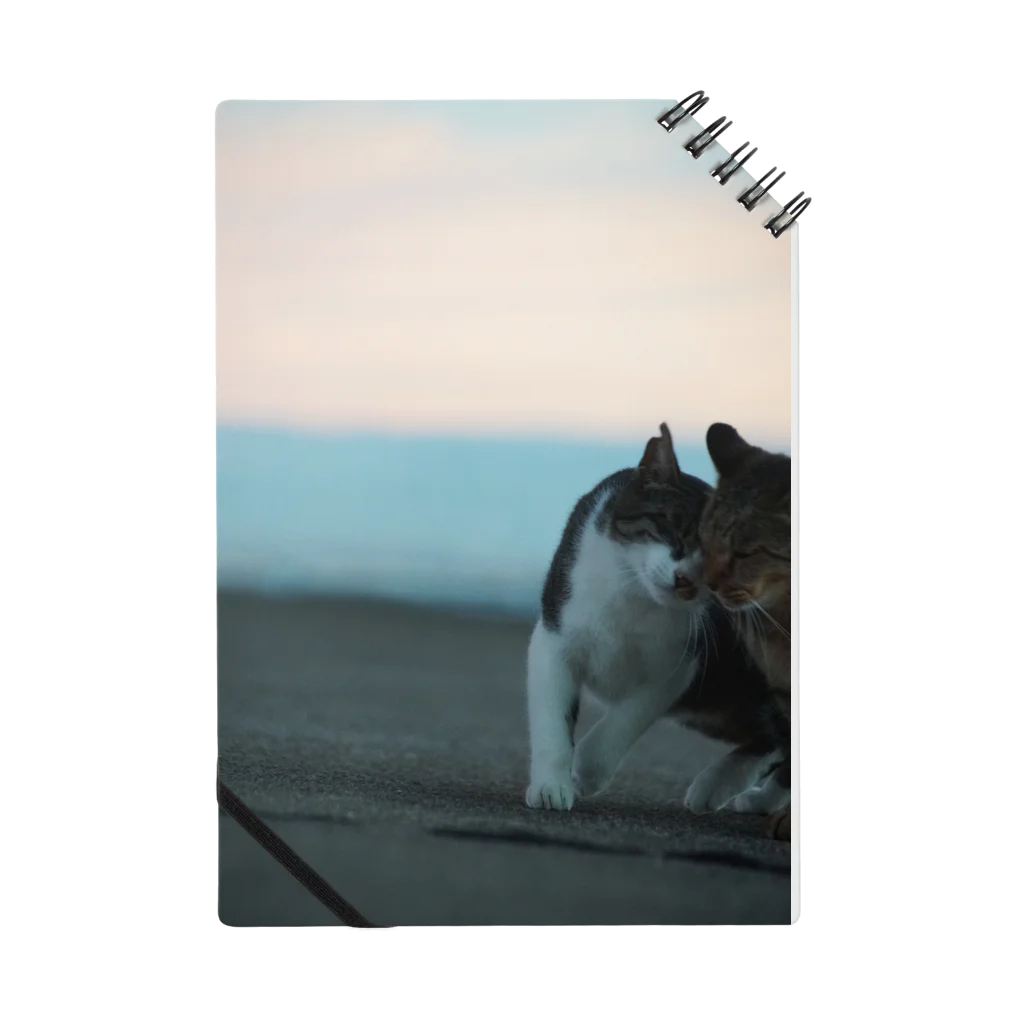 シッポ追いの猫写真店のふたりで Notebook