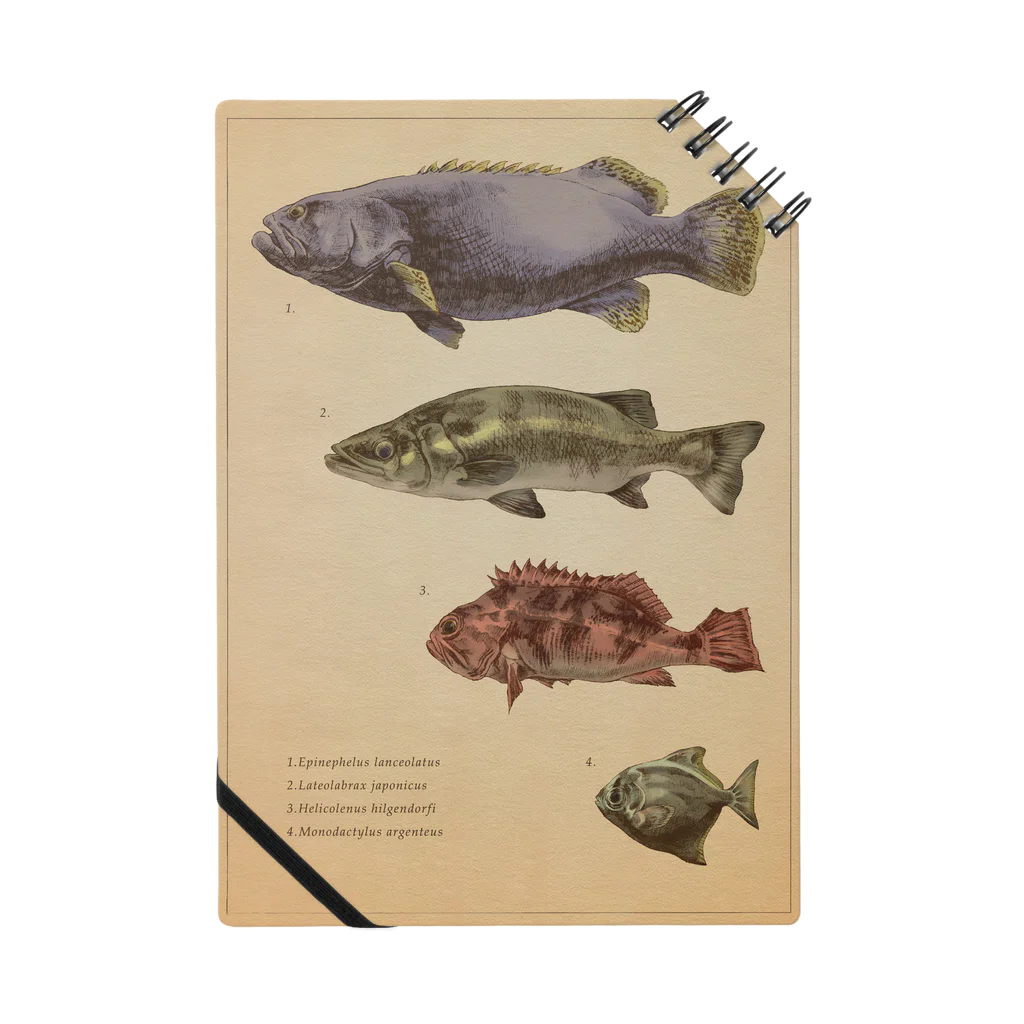 ななめやの魚類画帳 Notebook
