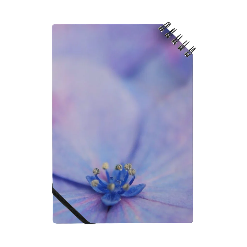 Mapstrindの紫陽花II Notebook