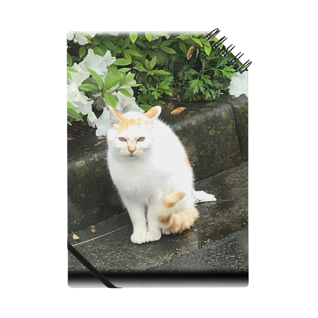 うどんやさんの雨とのらねこと花 ノート