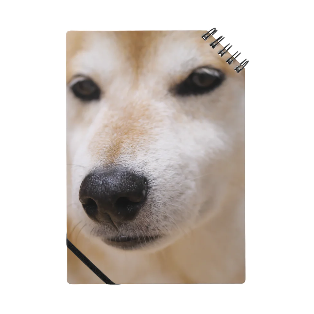 tamanikawaii_shibainuのすまし顔の柴犬♂ Notebook