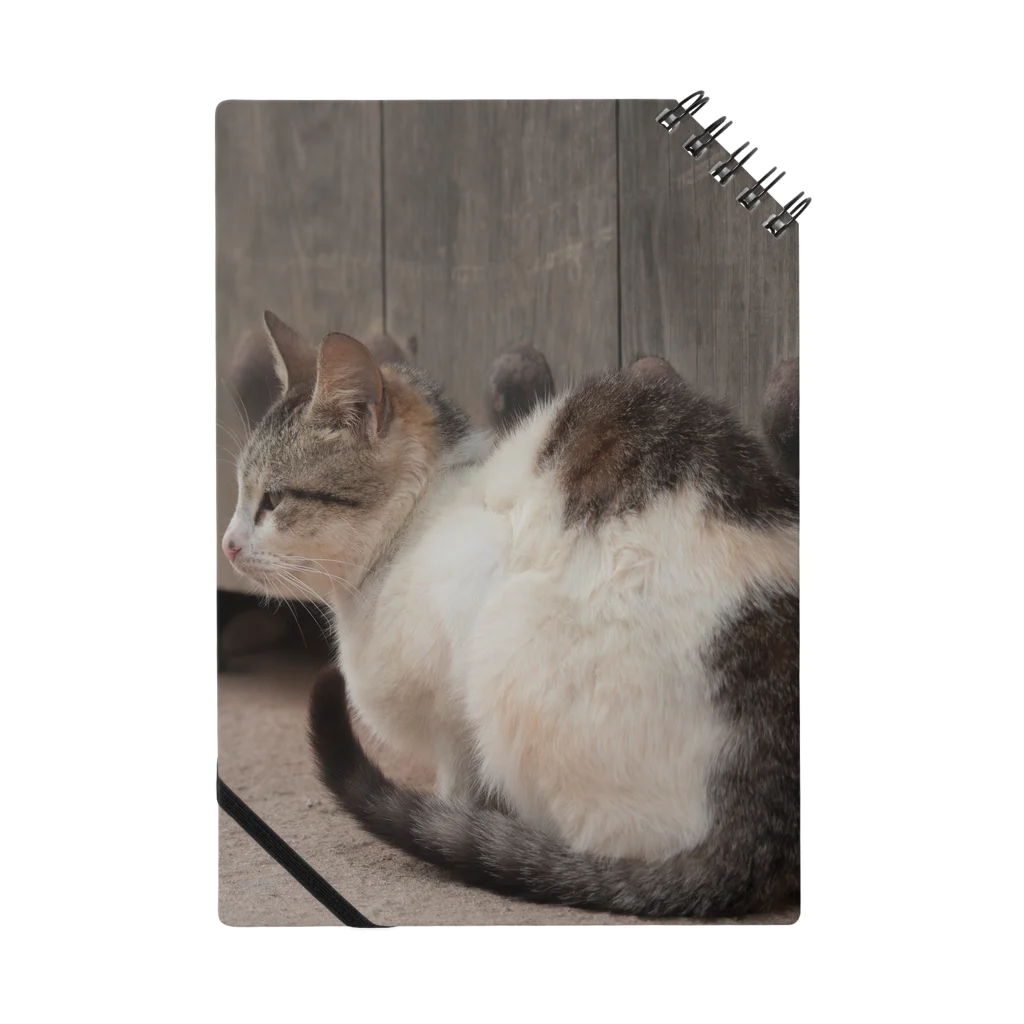 ume_chanのモロッコの猫 Notebook