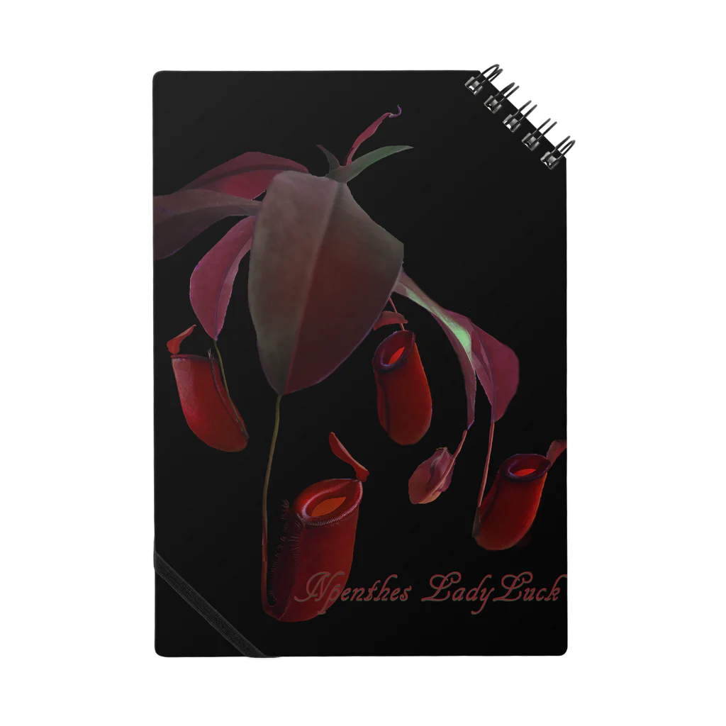 Exotc Peony～絵夢～のNpenthes LadyLuckシリーズ ノート