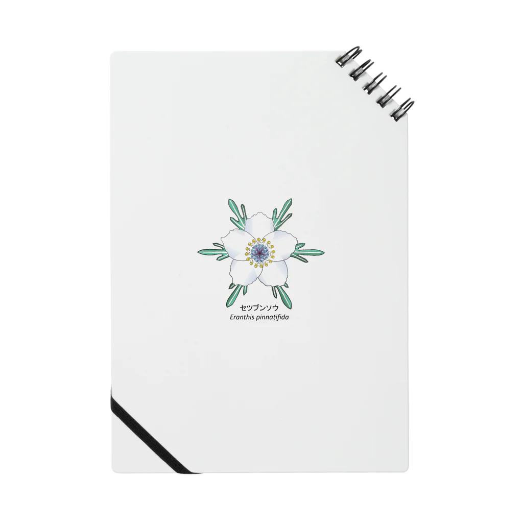 アデニウム(花・植物)のセツブンソウ(節分草) Notebook