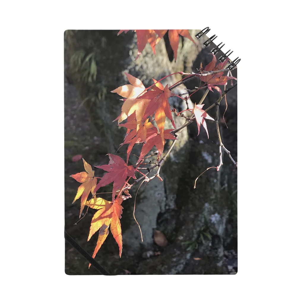 花模様の秋の色 Notebook