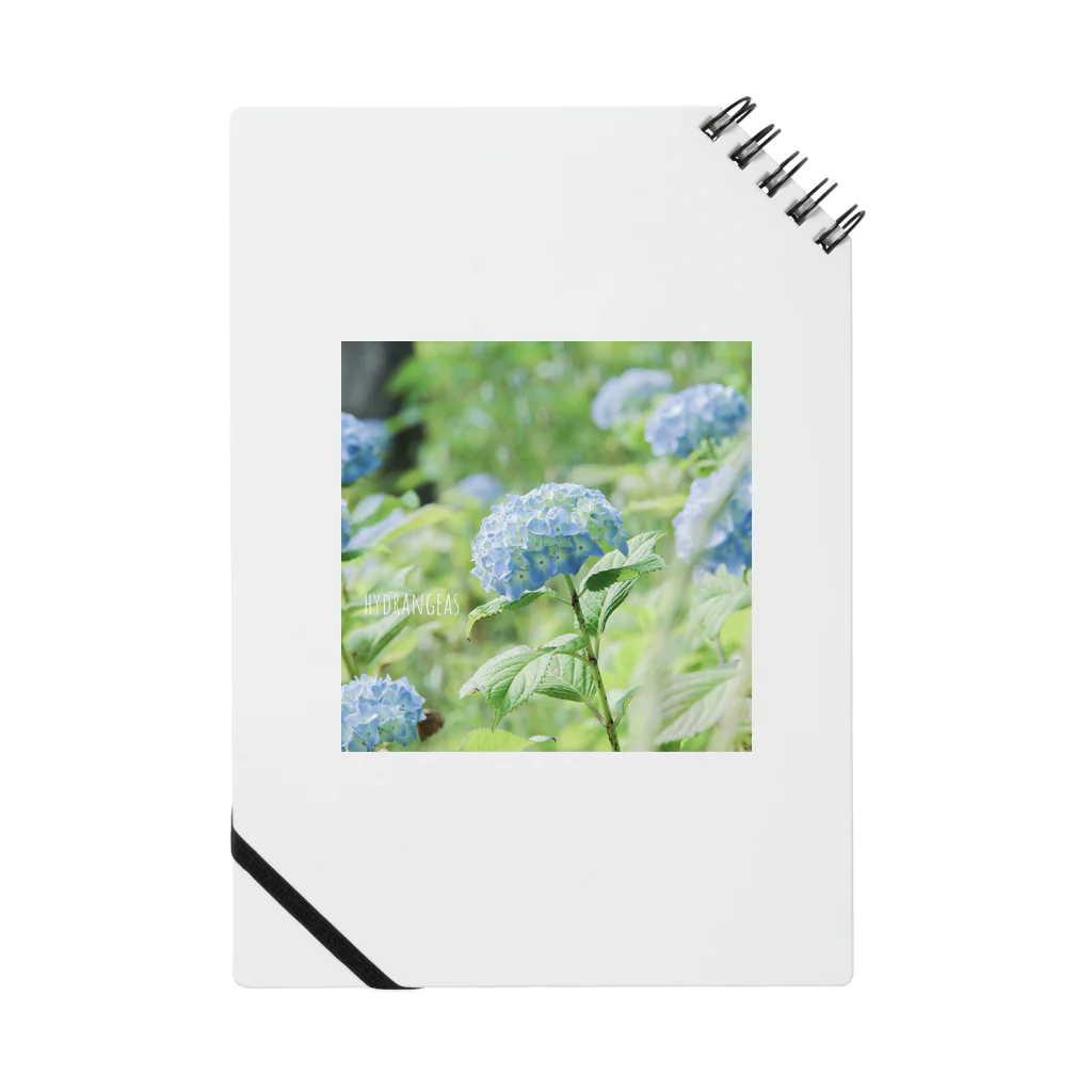 蛍石のhydrangeas Notebook