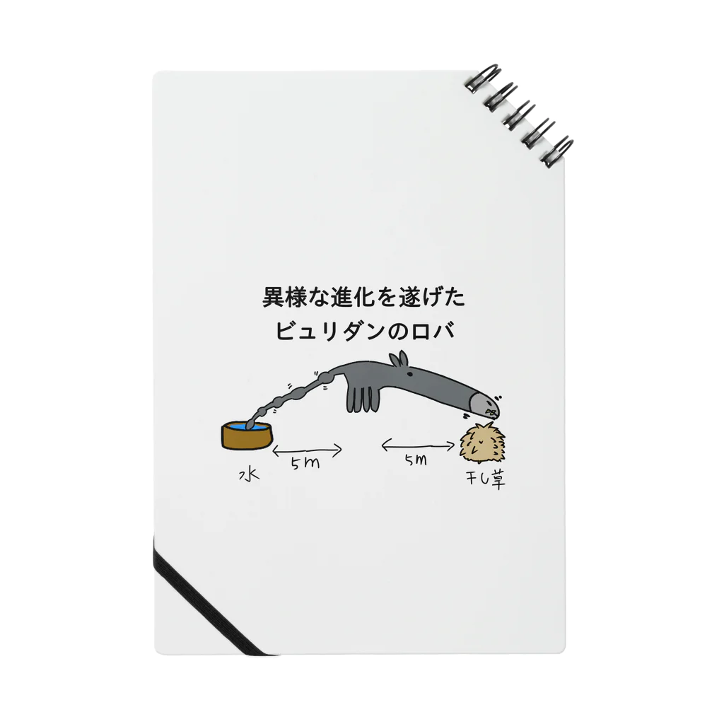 そこわかの異様な進化 Notebook