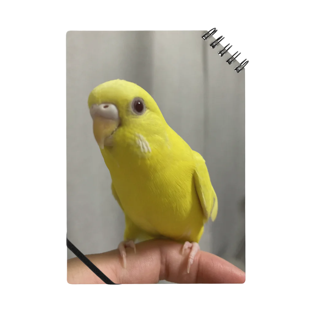 そらゆめインコのルチノーインコ Notebook