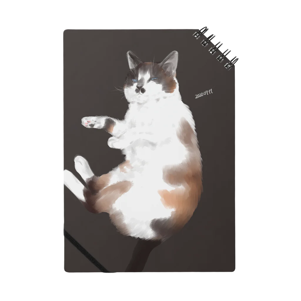 うちねこショップ【うちねこちゃん】の【うちねこちゃん】たぬき Notebook