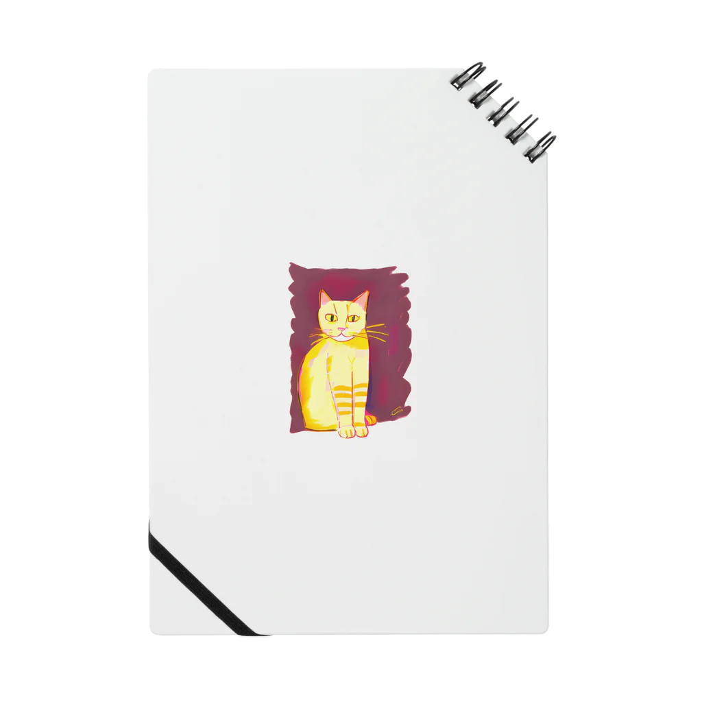 gatto solitario(物寂しげな猫)の太陽に照らされている猫 ノート
