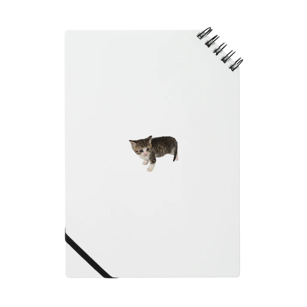 マスターPの小さい猫　ツブちゃん Notebook