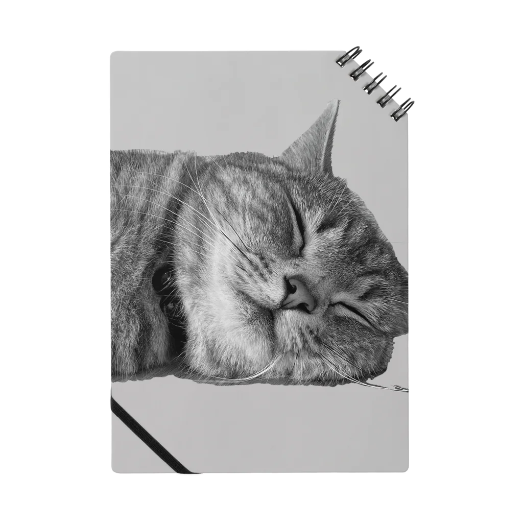 BIKOの Biko sleeping Notebook