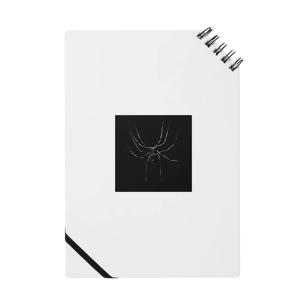 クモの蜘蛛 ノート