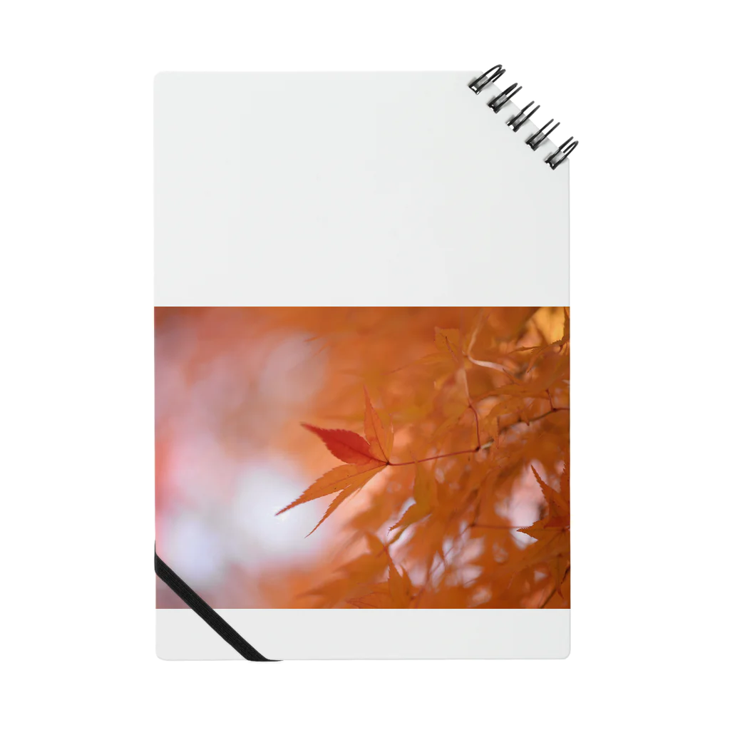 ピクセルパレットの紅葉の秘密 Notebook