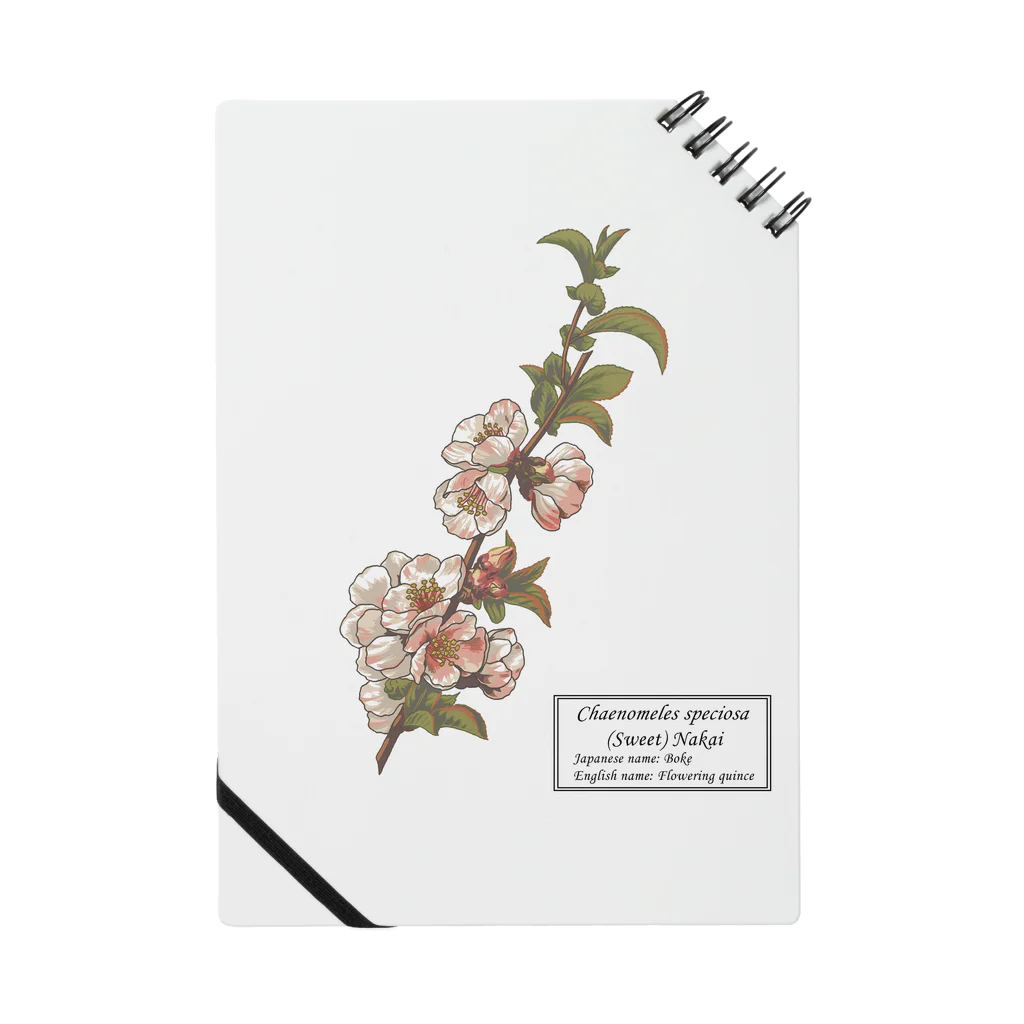 たくみのグッズショップのボケ（Chaenomeles speciosa） Notebook