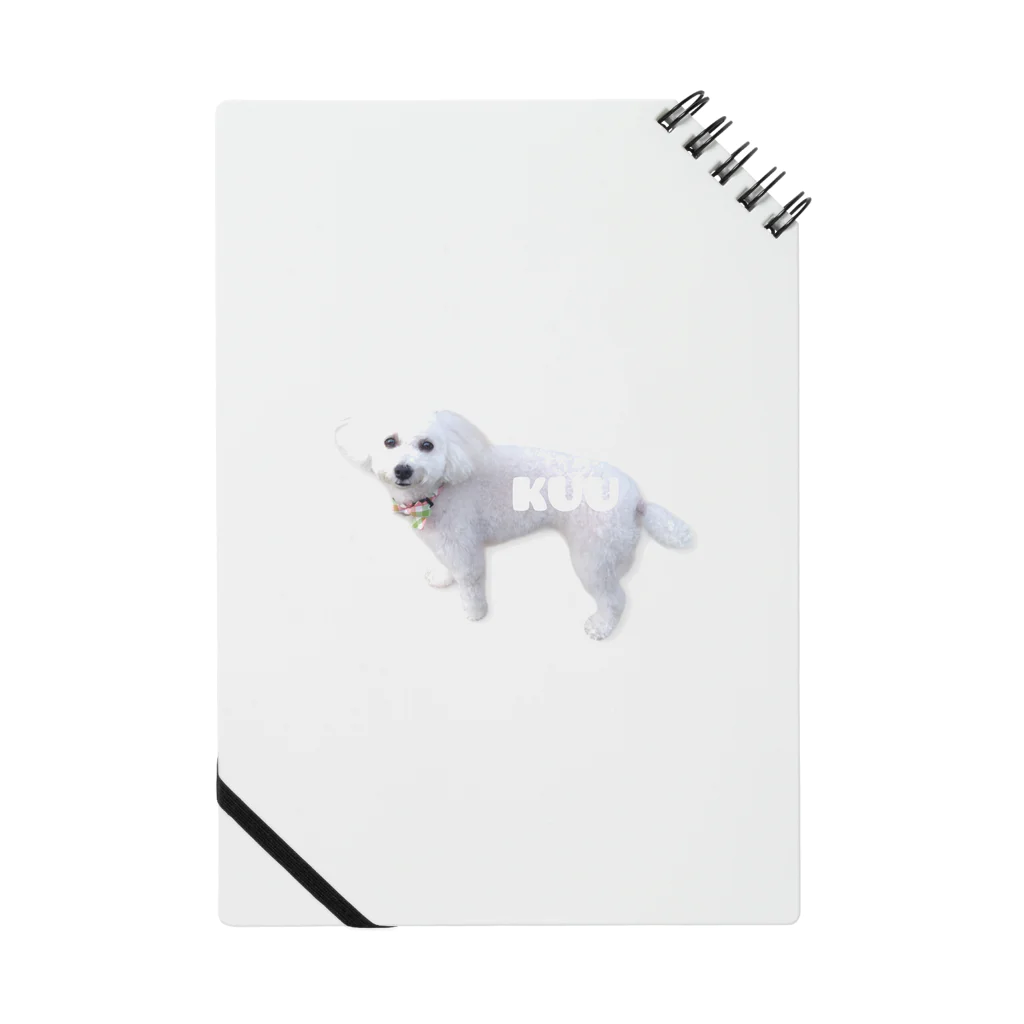 白色のトイプードルの犬のくう ノート